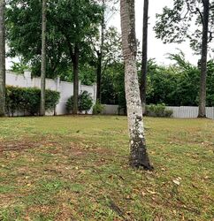 Leedon Park (D10), Detached #454028211